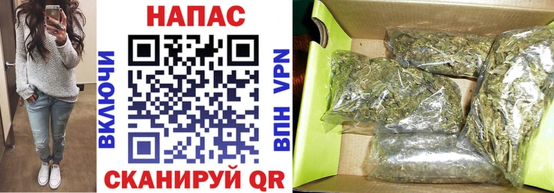 Где купить Суворов Галлюциногенные грибы  МЕФ  ГЕРОИН  COCAIN  Каннабис 
